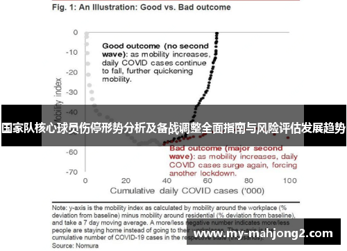 国家队核心球员伤停形势分析及备战调整全面指南与风险评估发展趋势
